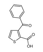 3-苯甲酰噻吩-2-羧酸