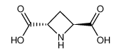 反式吖丁啶-2,4-二羧酸