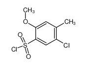 5-CHLORO-2-METHOXY-4-METHYLBENZENESULFONYL CHLORIDE 889939-48-4