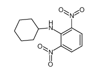 N-(2,6-Dinitrophenyl)cyclohexylamine 30332-87-7