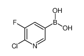 (6-chloro-5-fluoropyridin-3-yl)boronic acid 1072946-66-7