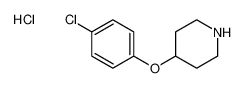 4-(3,4-dichlorophenoxy)piperidine,hydrochloride 817186-93-9