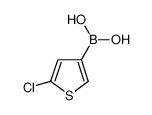 (5-氯-3-噻吩基)-硼酸