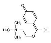 2-(4-hydroxybenzoyl)oxyethyl-trimethylazanium 5094-31-5