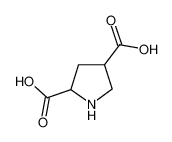 2,4-吡咯烷二羧酸