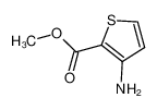 3-氨基-2-噻吩甲酸甲酯
