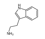 61-54-1 色胺