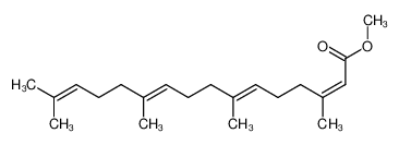51906-19-5 structure