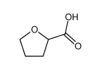 16874-33-2 2-四氢糠酸