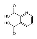 2,3-Pyridinedicarboxylic acid 339155-13-4
