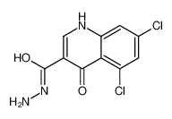 5,7-dichloro-4-hydroxy-quinoline-3-carbohydrazide 127720-05-2