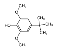 4-tert-butyl-2,6-dimethoxyphenol 6766-84-3