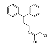 2-Chloro-N-(3,3-diphenylpropyl)acetamide 137075-21-9