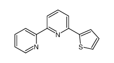 2-pyridin-2-yl-6-thiophen-2-ylpyridine 123760-40-7