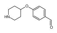 4-piperidin-4-yloxybenzaldehyde 199103-27-0