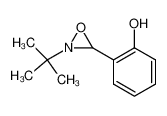 2-(2-tert-Butyl-oxaziridin-3-yl)-phenol 130995-62-9