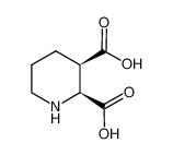 哌啶-2,3-二羧酸