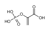 磷烯醇丙酮酸