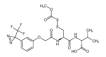2-<3-(3-trifluoromethyl-3H-diazirin-3-yl)phenoxy>acetyl-S-carbomethoxysulfenyl-L-cysteinyl-D-valine 113787-92-1