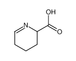 1-piperideine-6-carboxylic acid 3038-89-9