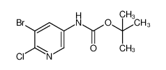(5-溴-6-氯-3-吡啶)-氨基甲酸叔丁酯