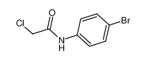 N-(4-BROMOPHENYL)-2-CHLOROACETAMIDE 2564-02-5