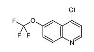 4-chloro-6-(trifluoromethoxy)quinoline 927800-55-3