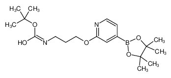 tert-butyl N-[3-[4-(4,4,5,5-tetramethyl-1,3,2-dioxaborolan-2-yl)pyridin-2-yl]oxypropyl]carbamate
