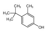 4-tert-butyl-3-methylphenol 2219-72-9