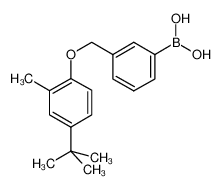 3-[(4-叔丁基-2-甲基苯氧基)甲基]苯硼酸