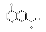 4-chloroquinoline-7-carboxylic acid 49713-58-8