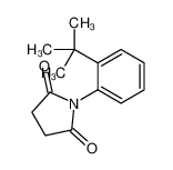 210426-64-5 1-(2-tert-butylphenyl)pyrrolidine-2,5-dione