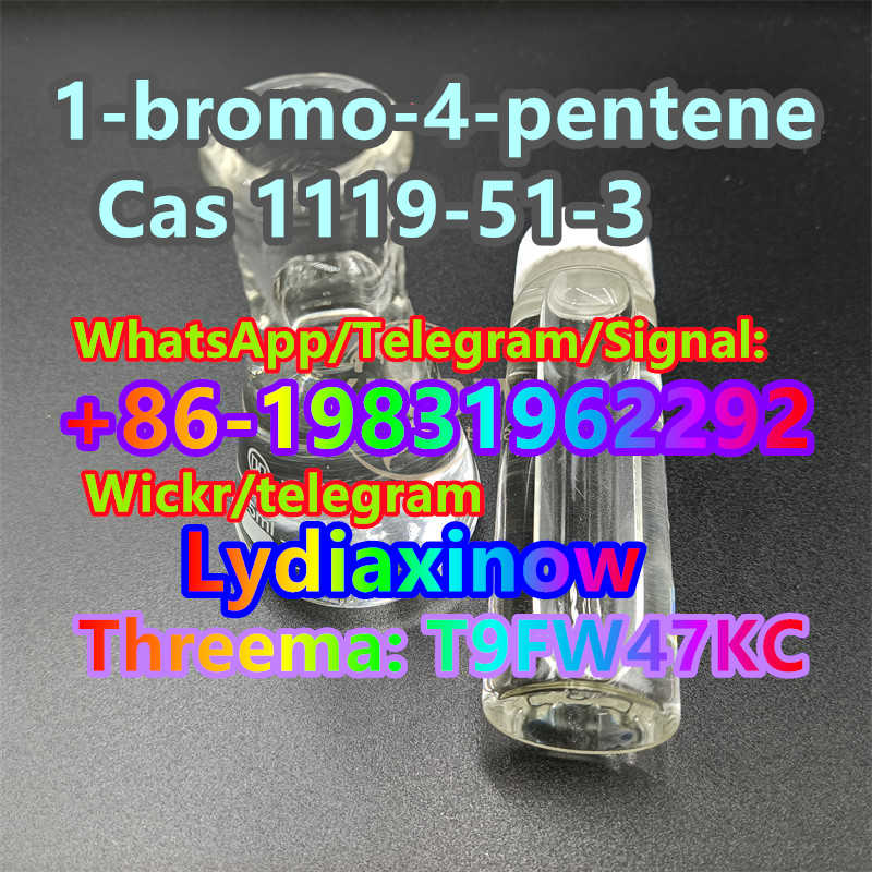 China supplier 5-Bromo-1-pentene Cas1119-51-3 whatsapp +86-19831962292 99%