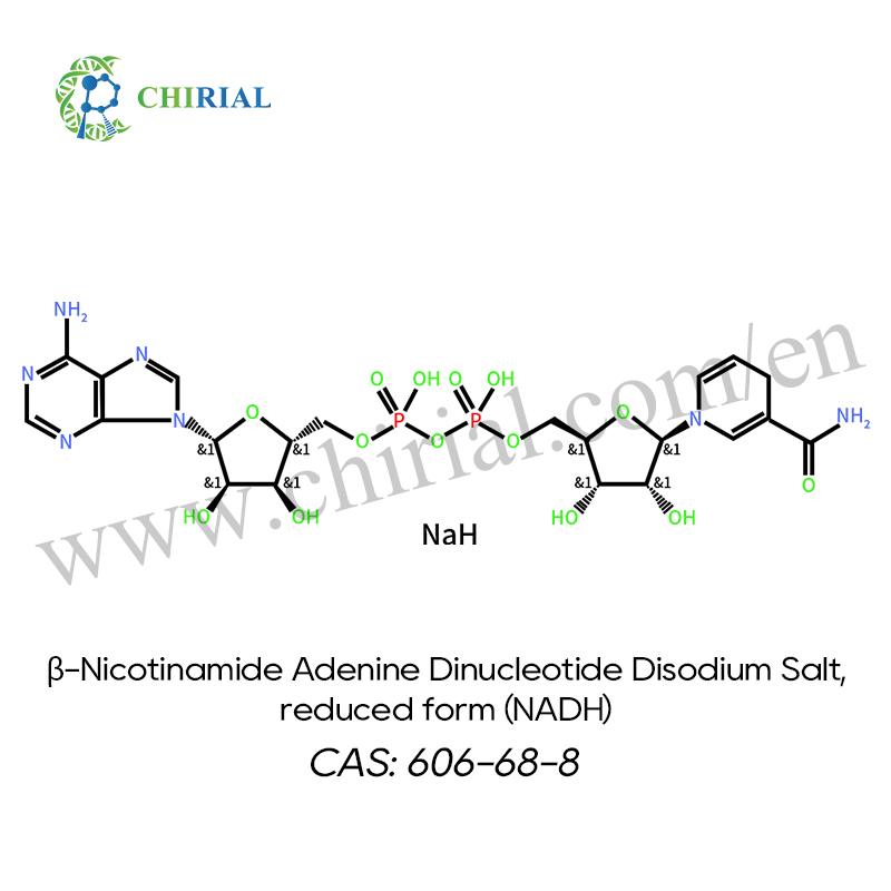 β-Nicotinamide Adenine Dinucleotide Disodium Salt, reduced form (NADH) >=98%