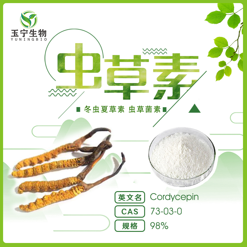 Cordycepin 98%