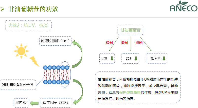 甘油葡糖苷
