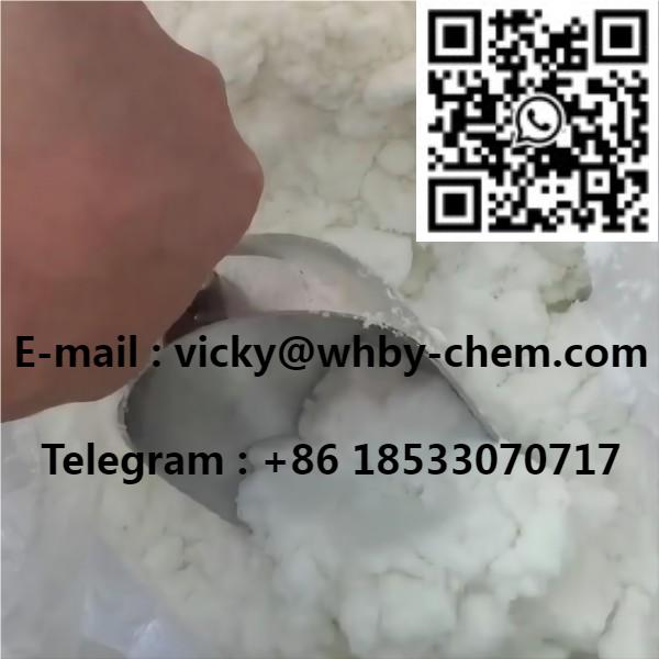 Methylamine Hydrochloride CAS593-51-1 99.99%