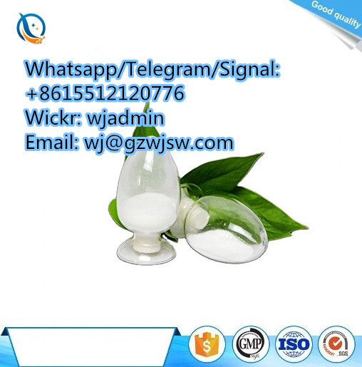 wj(at)gzwjsw(dot)com 99% purity Ethylamine hcl CAS 557-66-4 whatsapp +8615512120776 99%