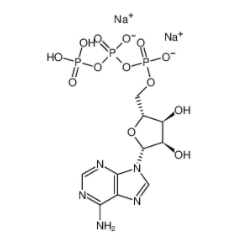 腺苷-5′-三磷酸二钠盐(ATP)