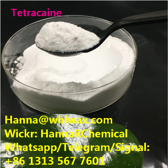 CAS 94-24-6 Tetracaine High Purity Powder China Factory Supplier 99.8%
