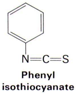 phenyl isothiocyanate 98%