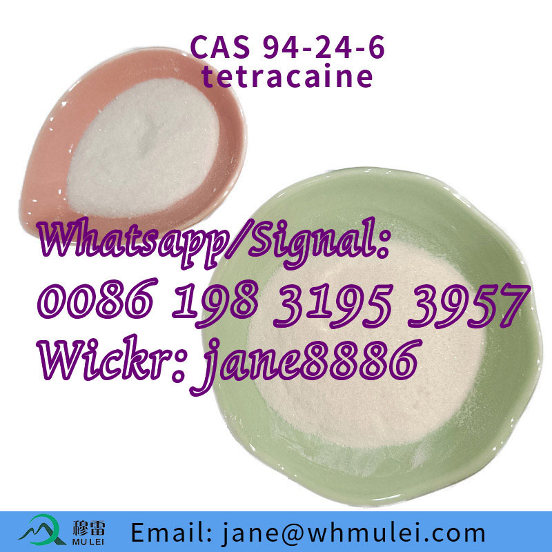 high quality crystal Tetracaine hydrochloride powder CAS 136-47-0 China top supplier 99%+