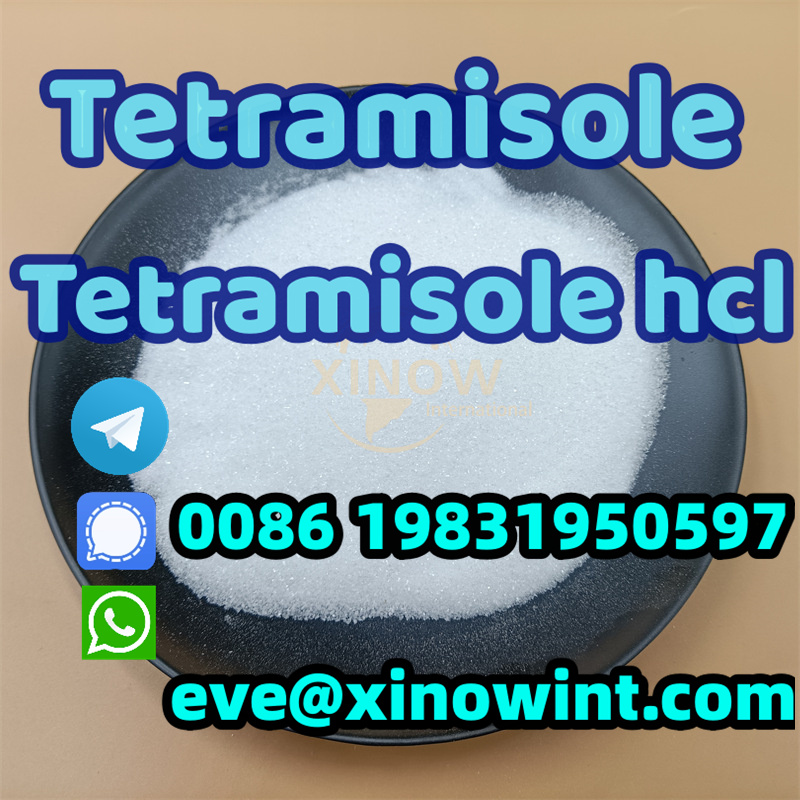 China Tetramisole hydrochloride-CAS 5086-74-8 Manufacturer and Supplier 99