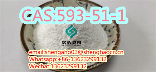factory supply Methylamine Hydrochloride CAS 593-51-1 99.9%