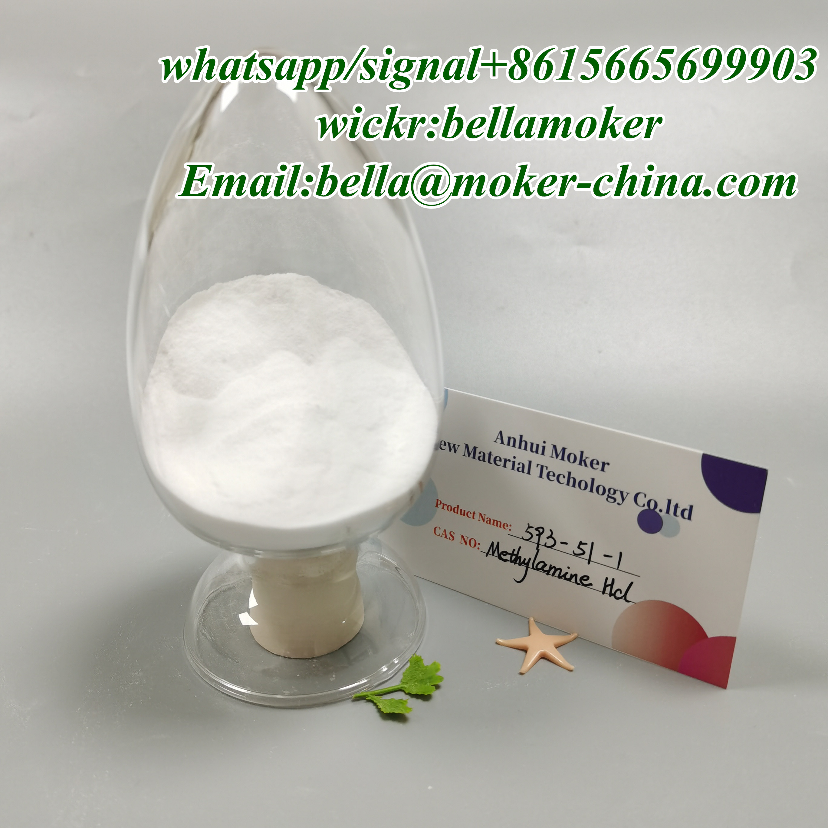 Manufacturer Supply CAS 593-51-1 Methylamine Hydrochloride/Methylamine HCl in Stock 99.8