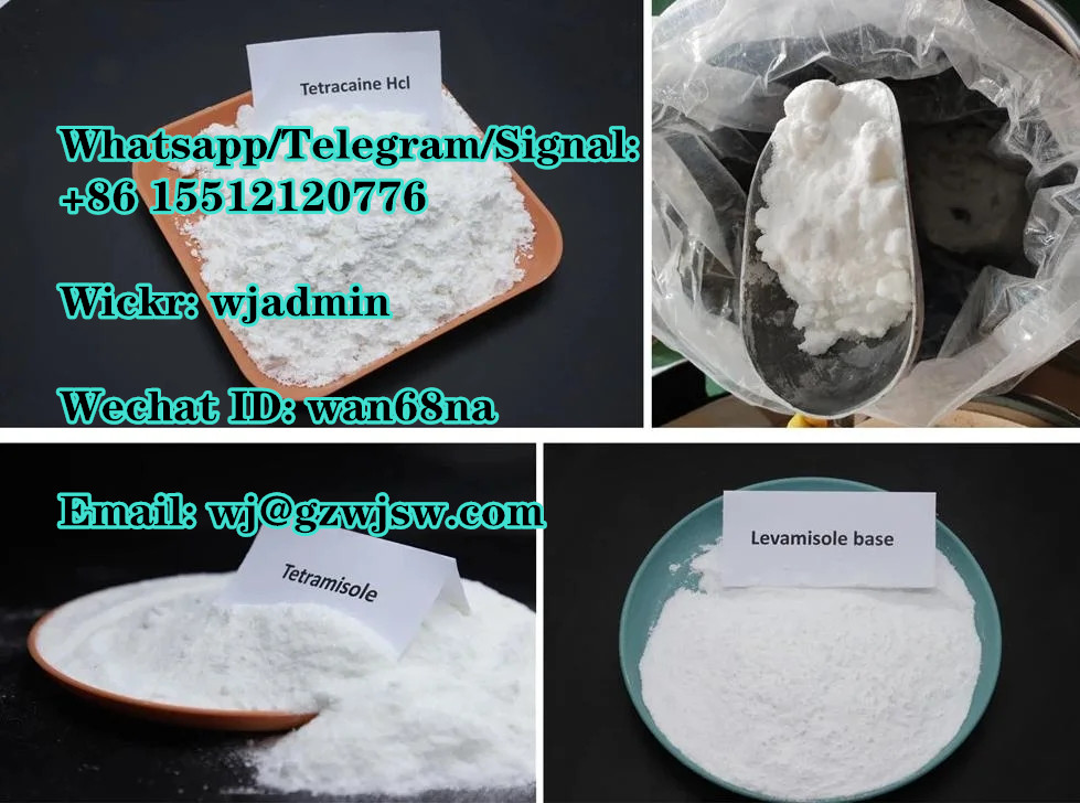 wj(at)gzwjsw(dot)com 99% purity 62-44-2 Phenacetin whatsapp +8615512120776 99%