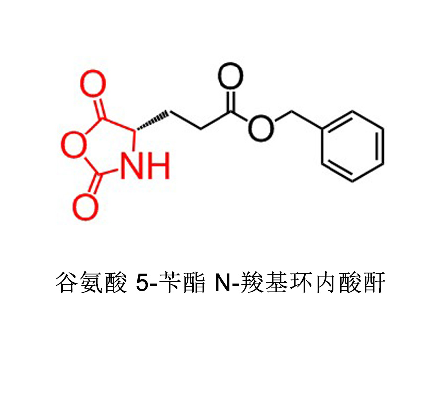 CAS：3190-71-4；谷氨酸 5-苄酯 N-羧基环内酸酐