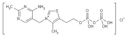 辅羧酶