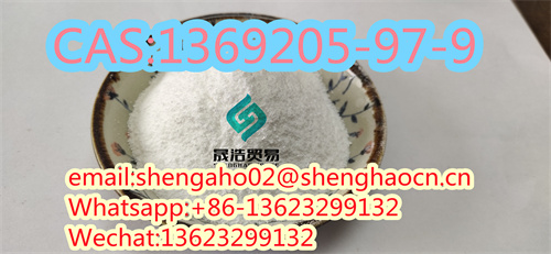 Unique Product CAS 1369205-97-9 for pharmaceutical intermediates 99.9%