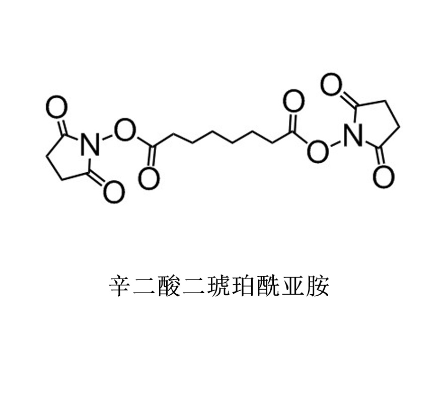 CAS：68528-80-3；辛二酸二(N-琥珀酰亚胺基酯)